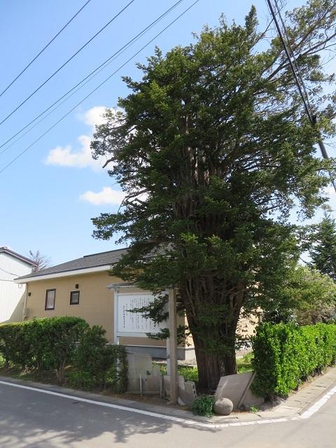 下田館