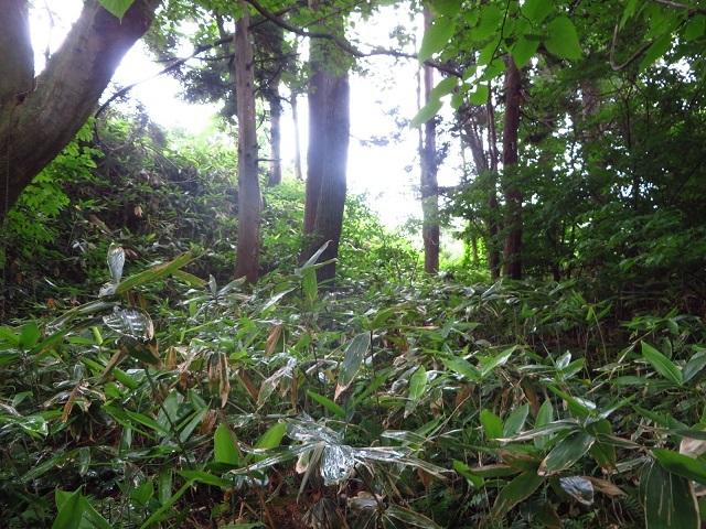 原子城