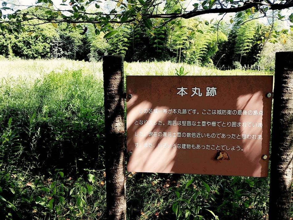 東条城