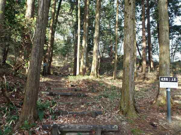 三雲城