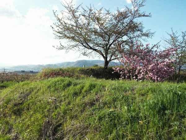 小山城