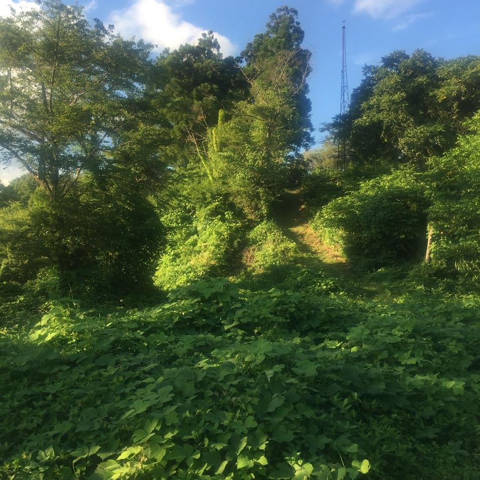 角館城