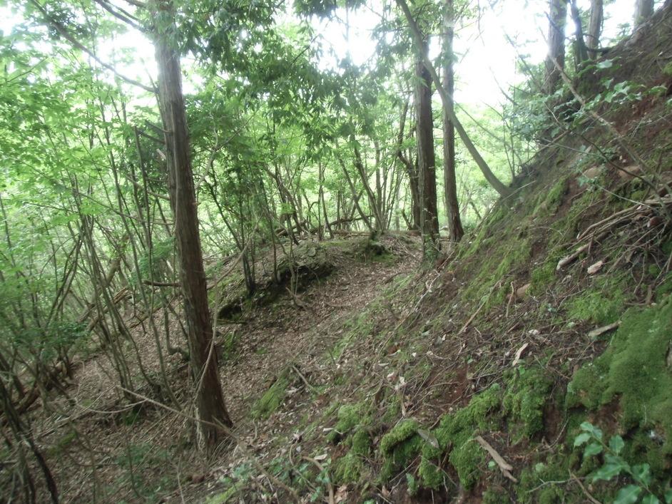 塩貝城