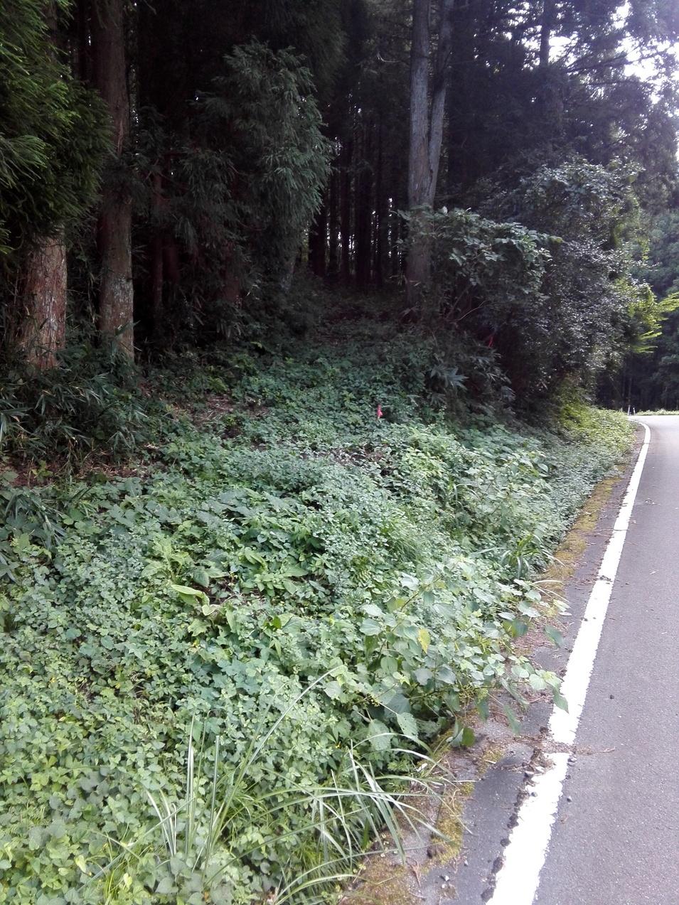 茶臼山城