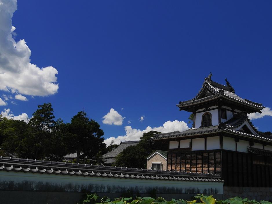 本證寺