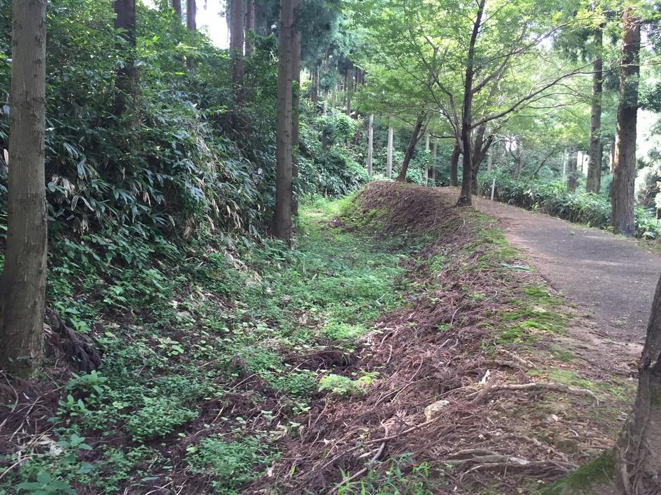 松根城