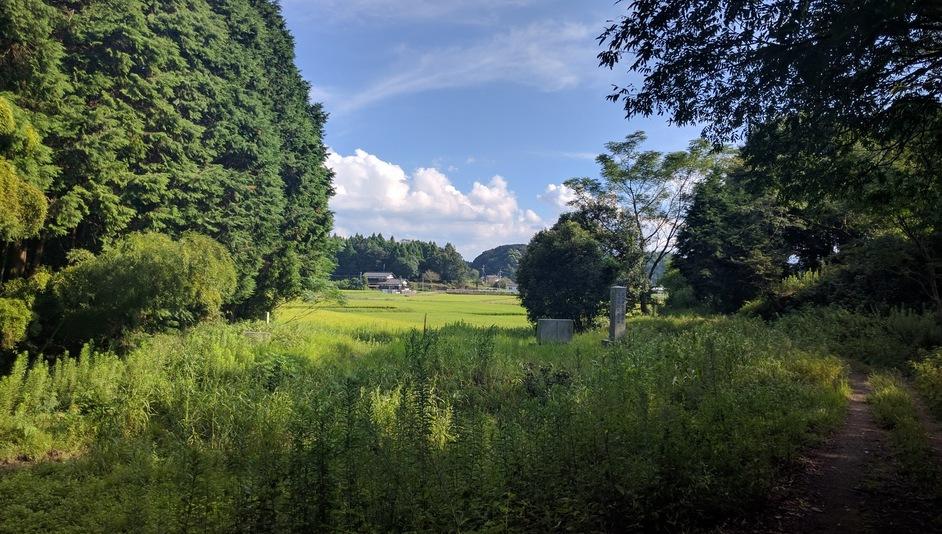 おつぼ山神籠石