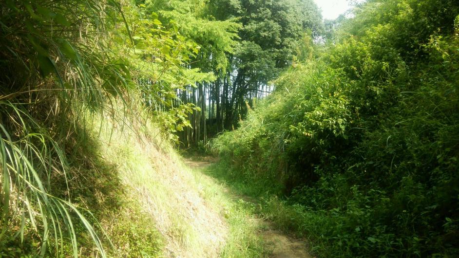 都於郡城