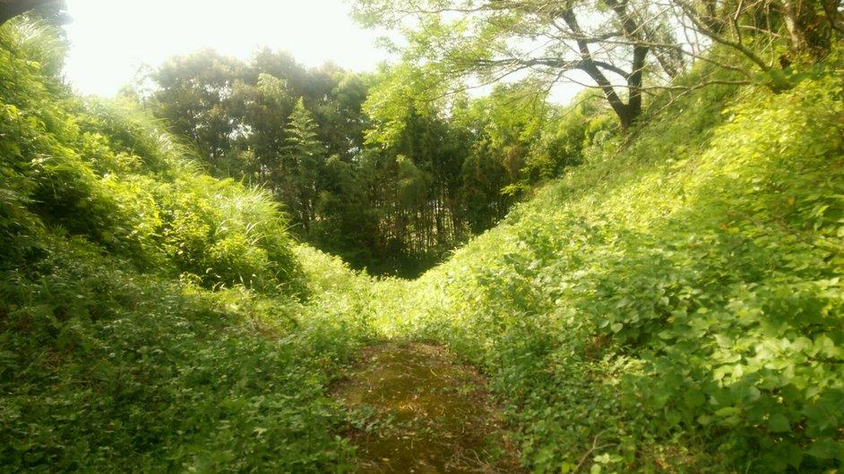 都於郡城