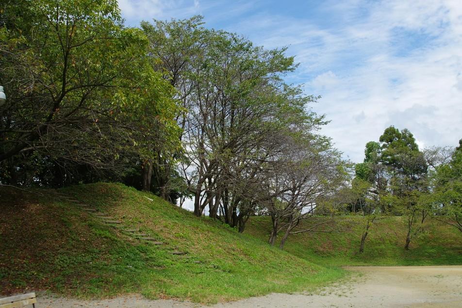 黒野城