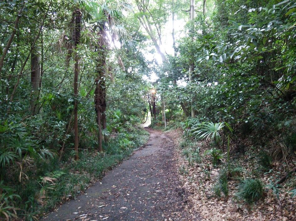 石戸城