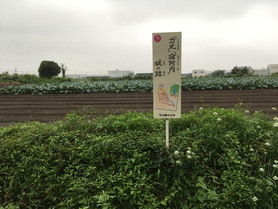阿内城