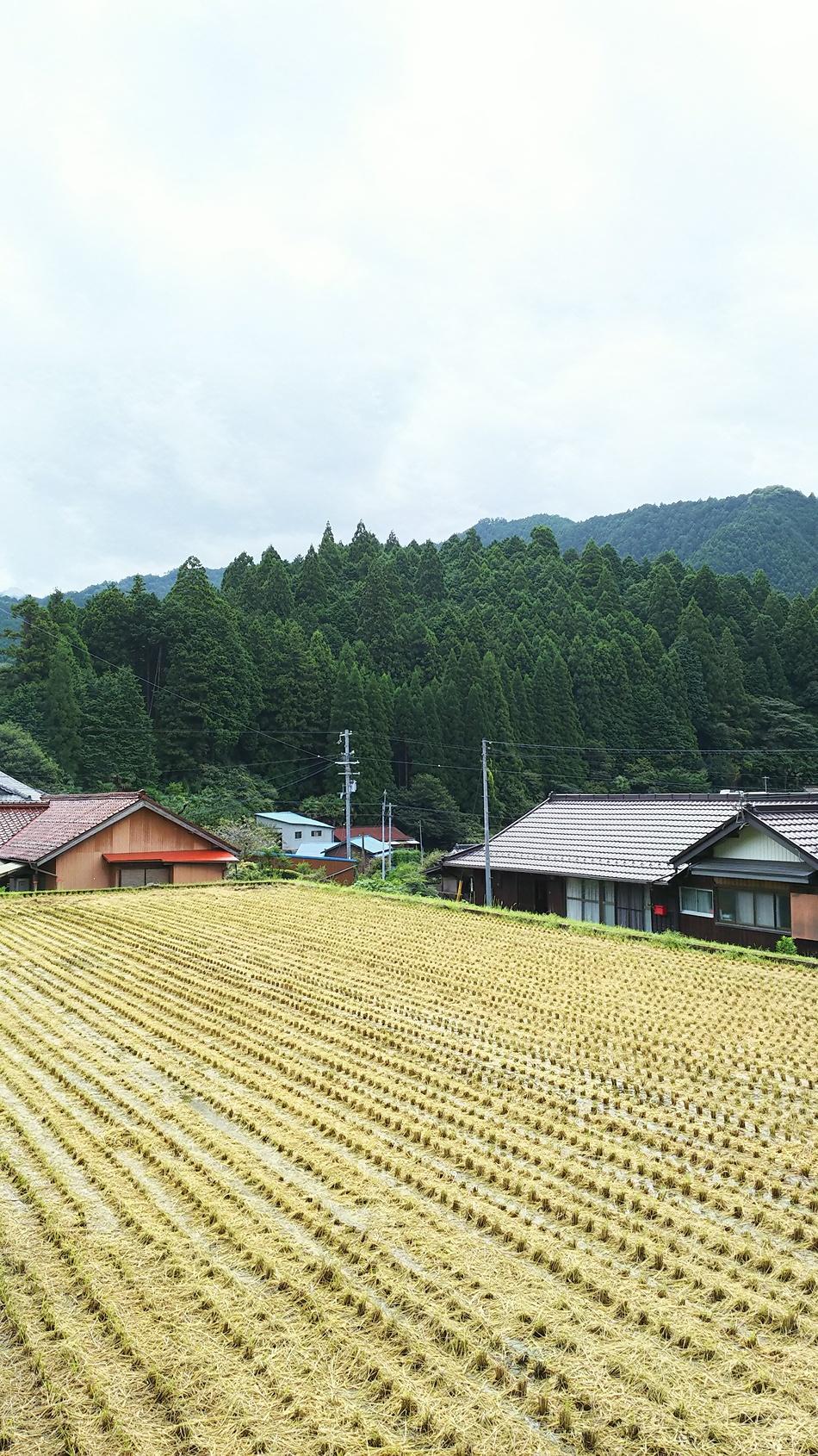 阿瀬川城