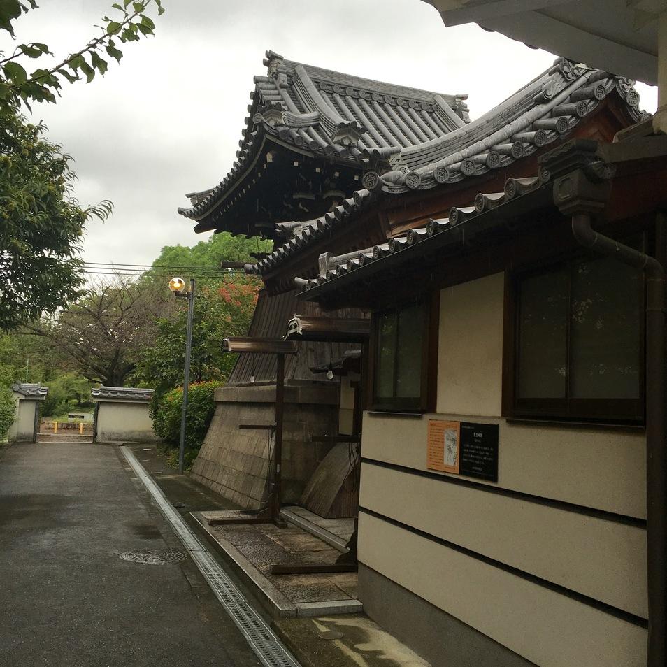 葱生城