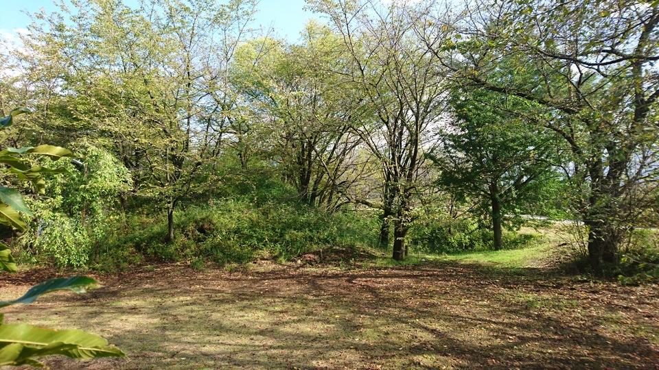 小山城