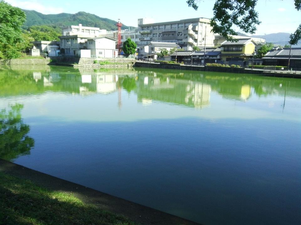 柳本城