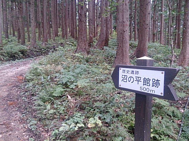 沼平館