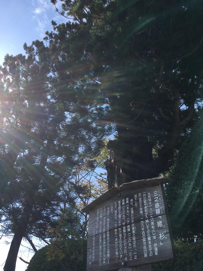 水沢城