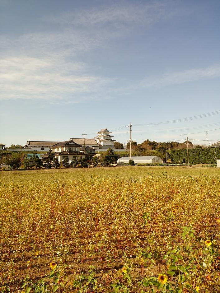 関宿城