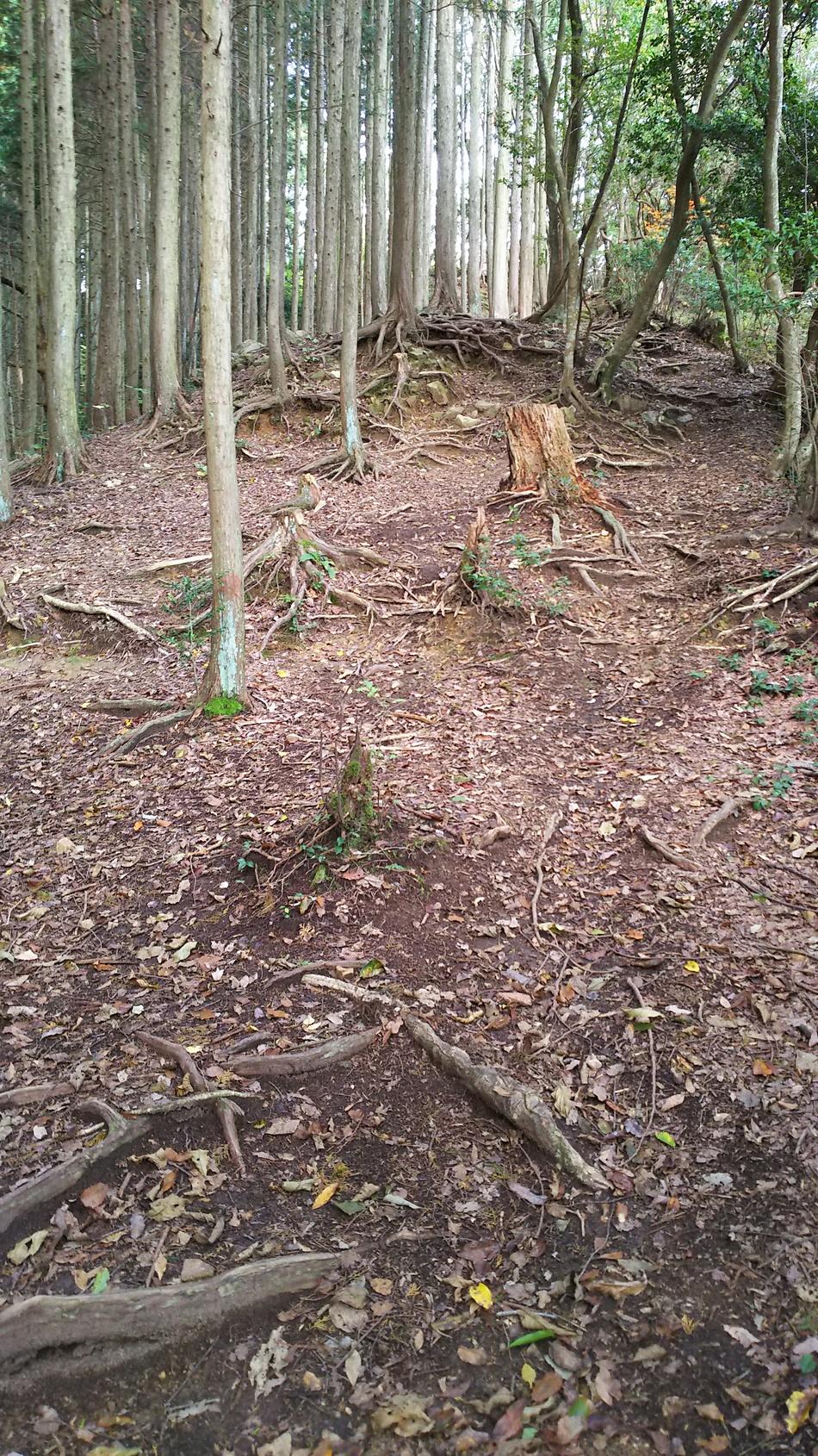 牛頭山城
