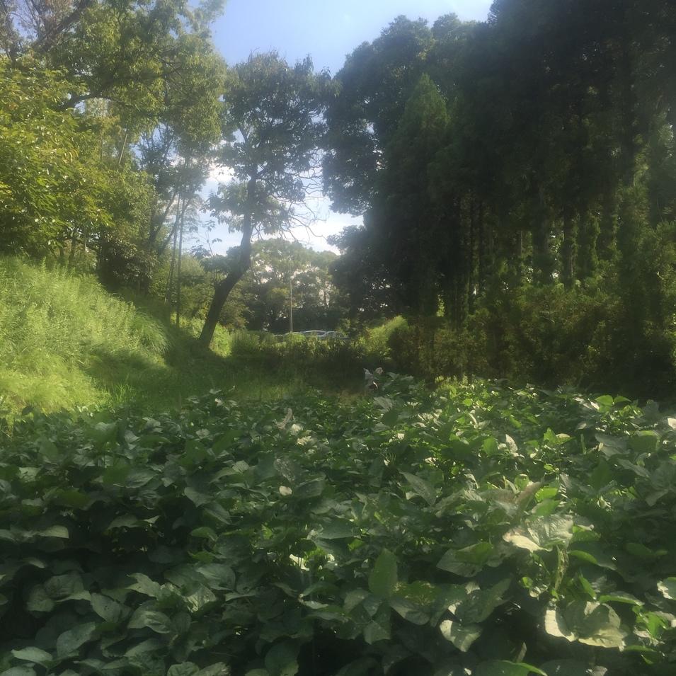 交野城