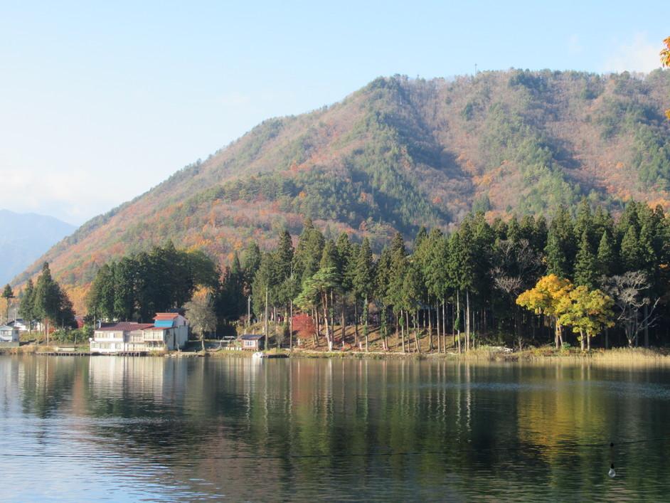 仁科城