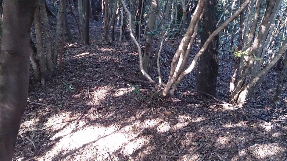 介良城