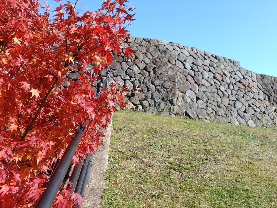 小諸城