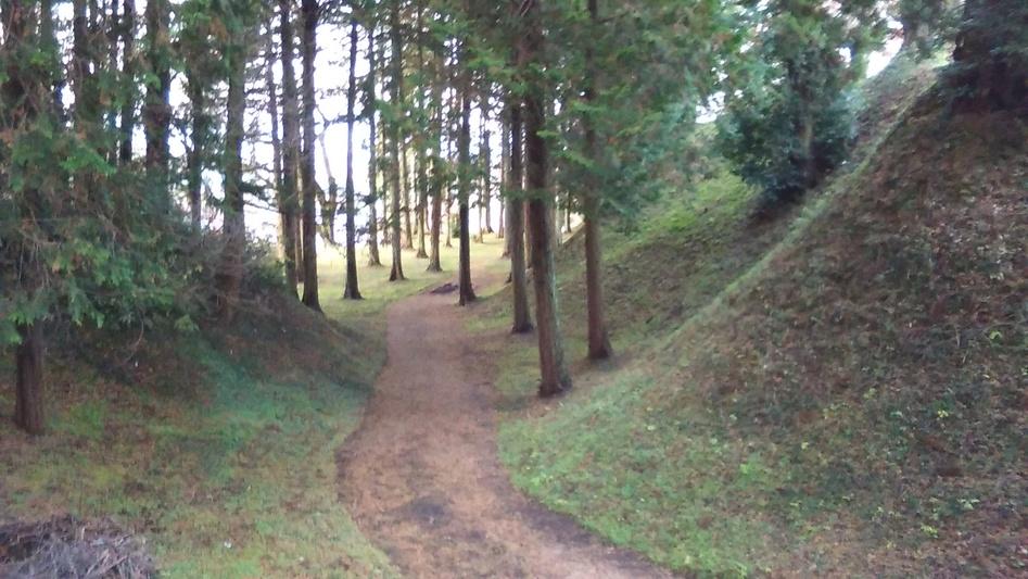 佐久山城