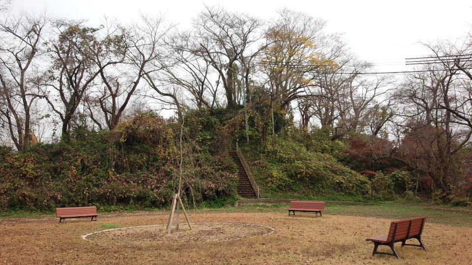 豊岡城