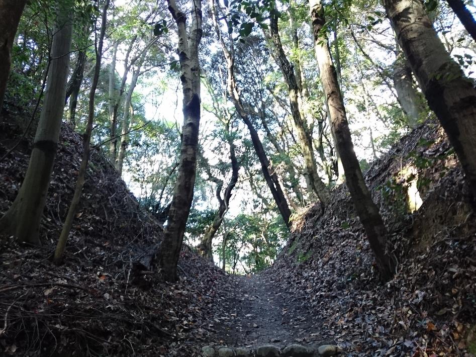 松尾寺城