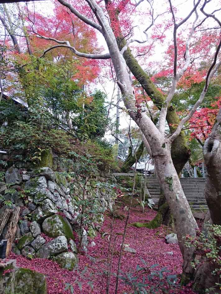 松尾寺城