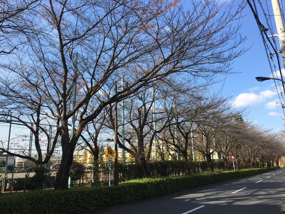 右馬頭屋敷