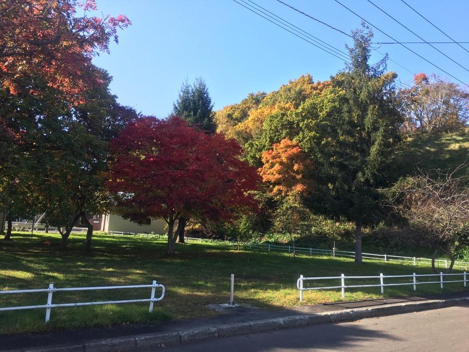 アッテウシのチャシ