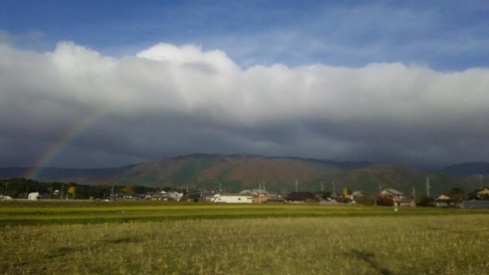 伊井城