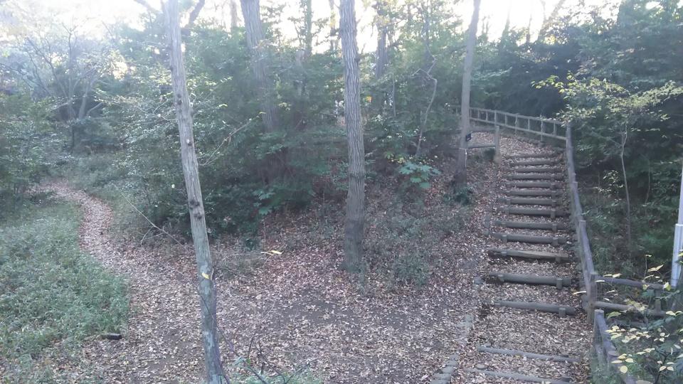 岡城