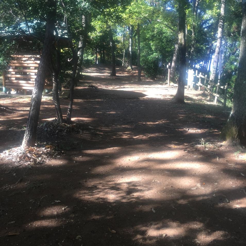 明智長山城