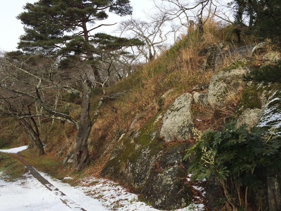 長沼城