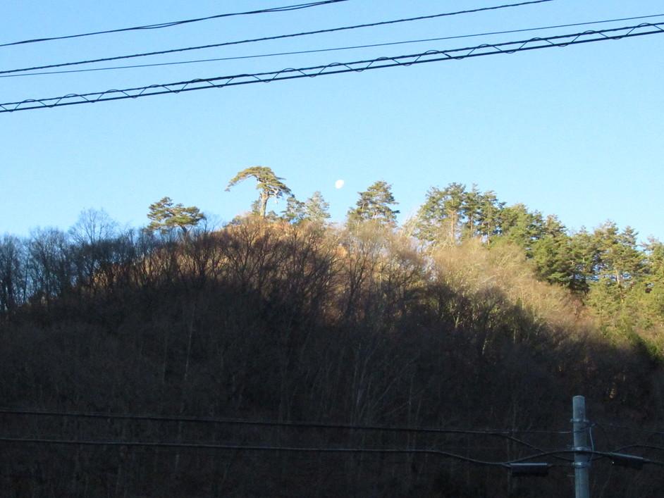 藤沢城