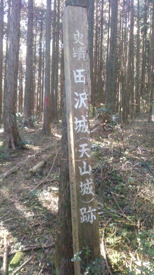 田沢城
