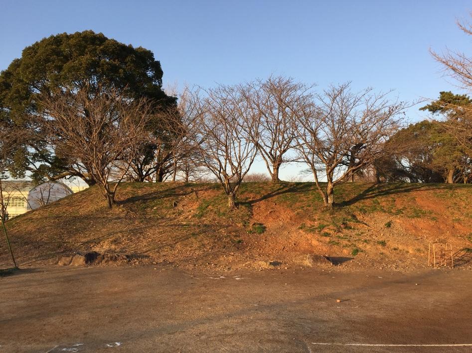 柳川城