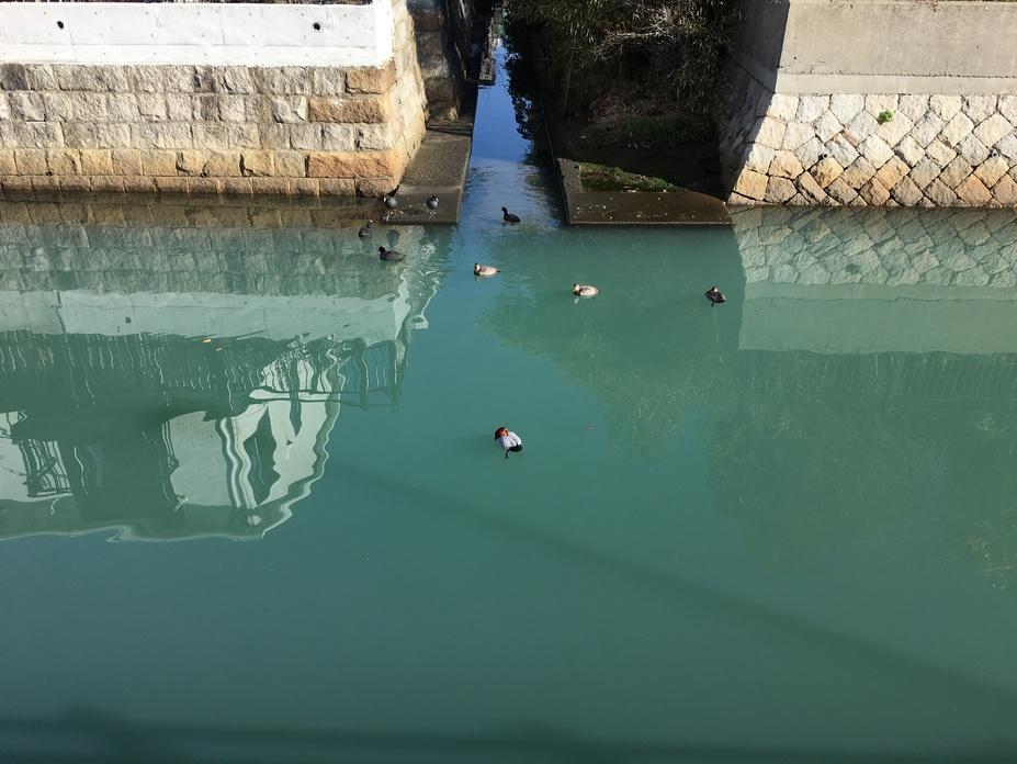 堺城
