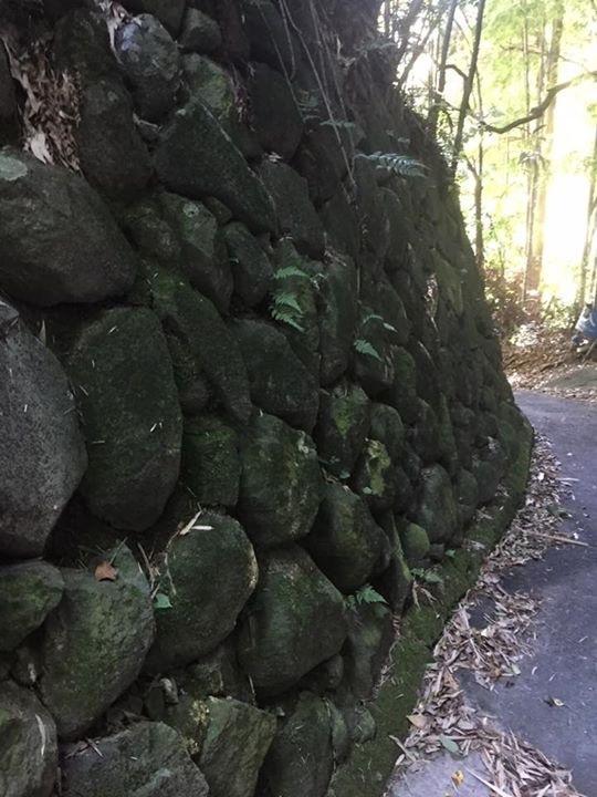 菜畑城