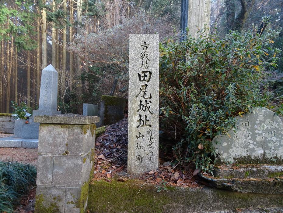 田尾城