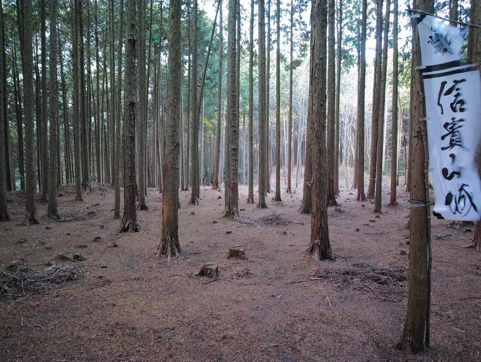 信貴山城