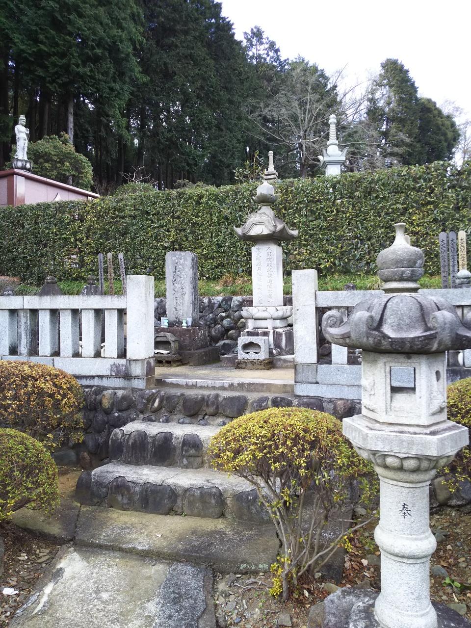 由木城