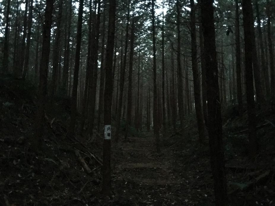 徳次郎城