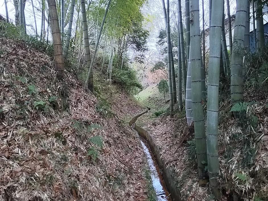 黒羽城