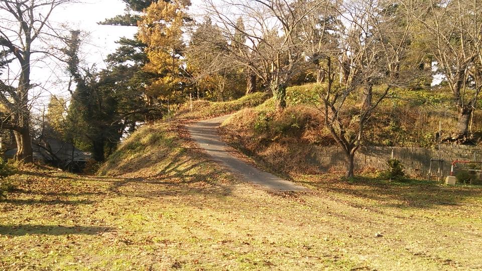 岩崎城