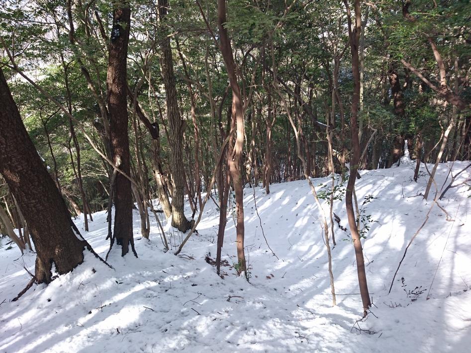 和佐山城
